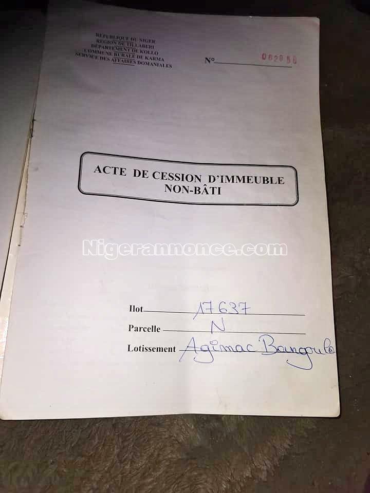 Parcelle à vendre Bongoula | Niger annonce