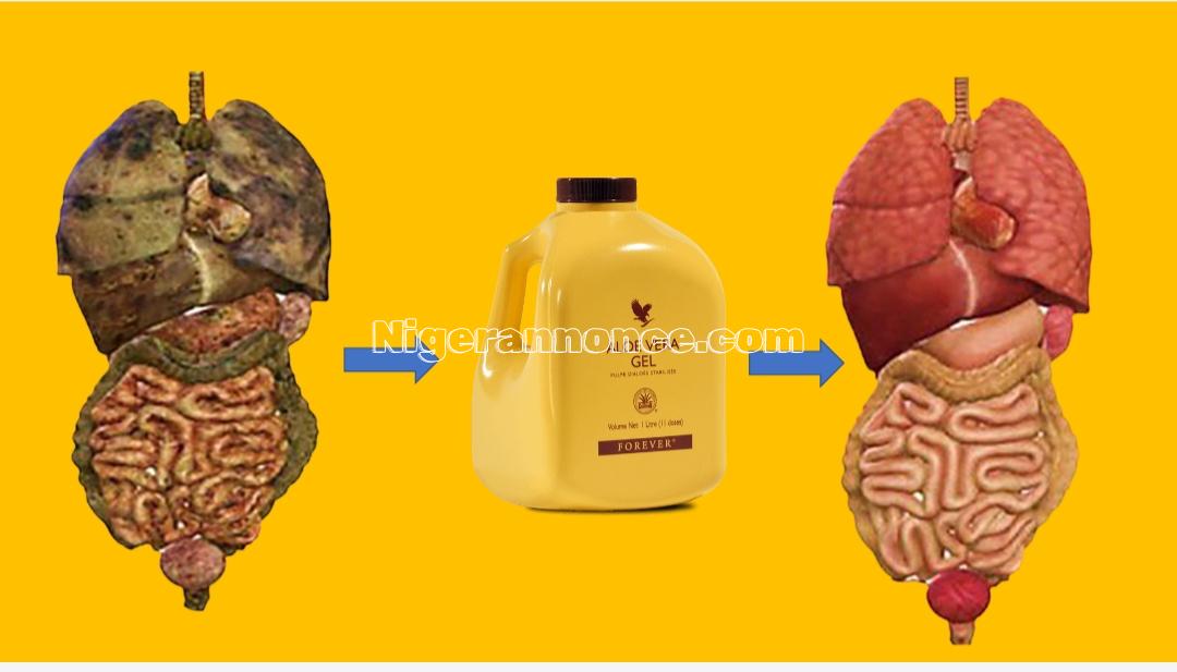 Gel d'alors vera | Niger annonce