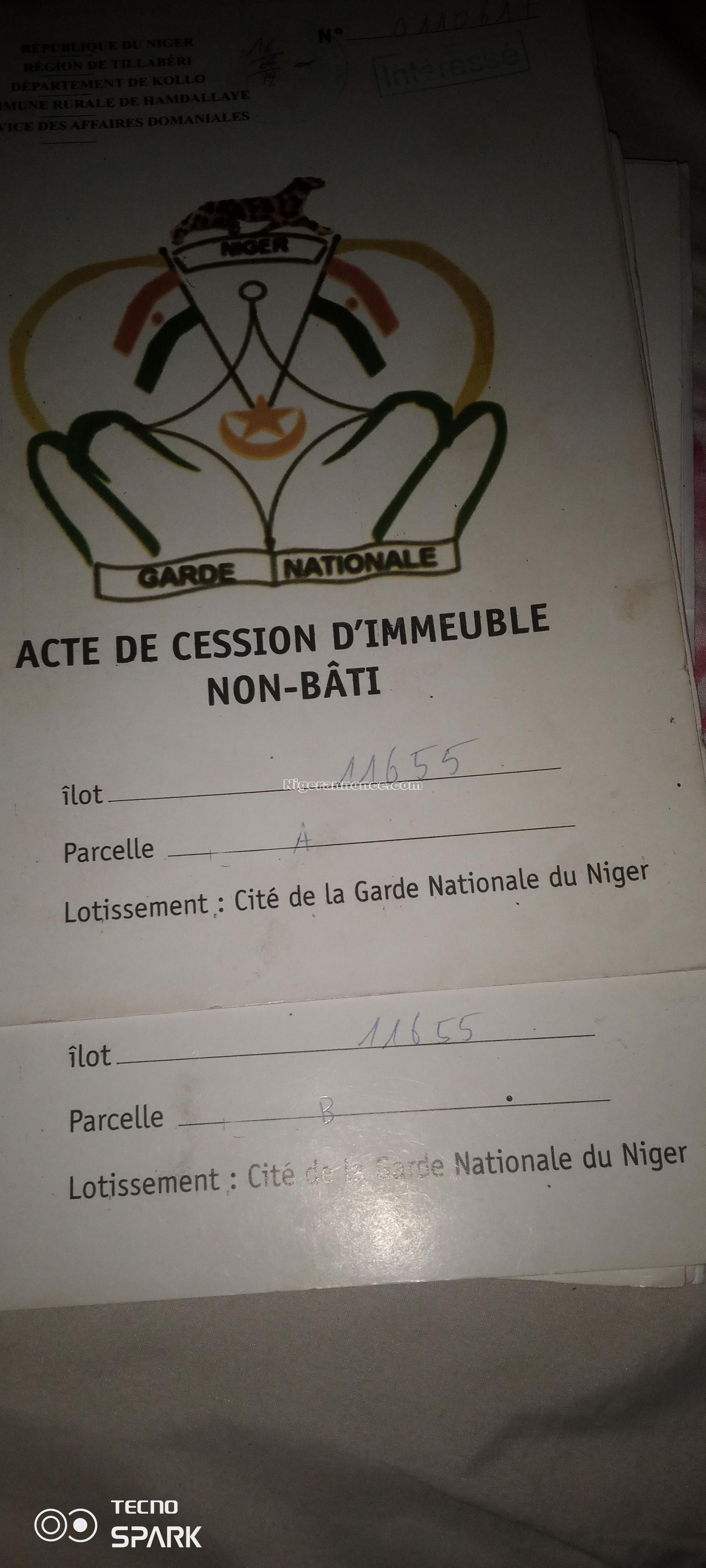 Terrains non bâti | Niger annonce