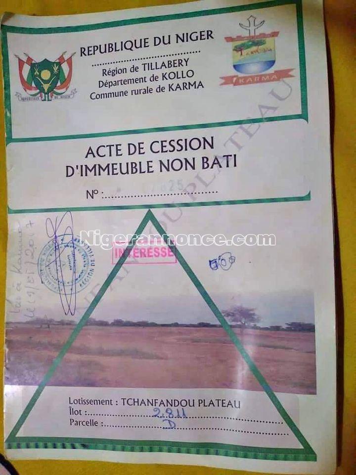 Une parcelle de 400 m2 | Niger annonce