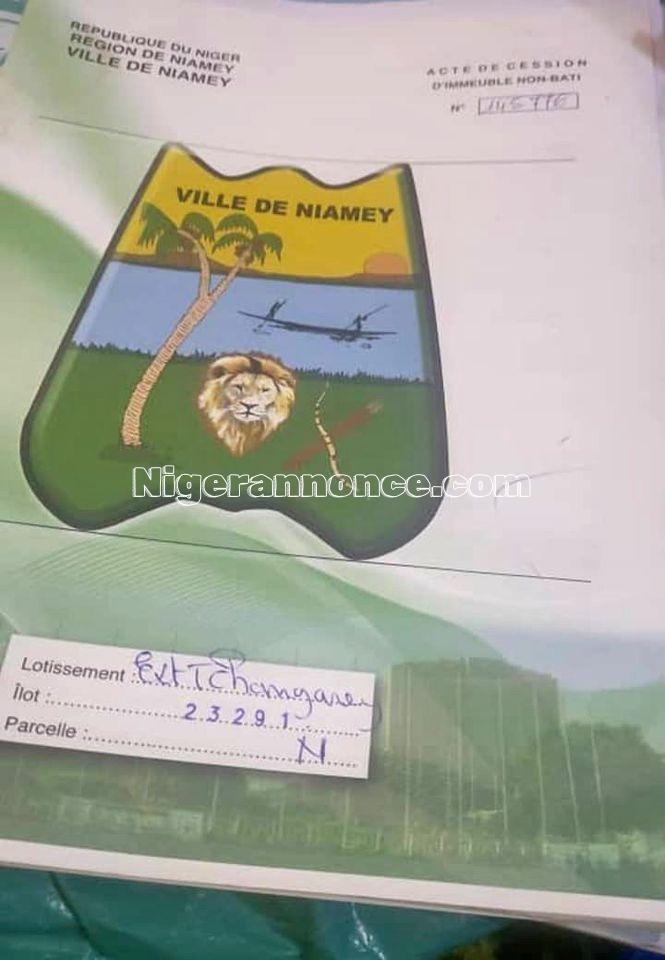 Une parcelle Ext-Thangarey a vendre superficie :400M² en plein milieu des habitations terrain plat | Niger annonce