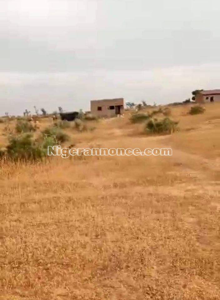 Une parcelle à vendre cité 2011 | Niger annonce