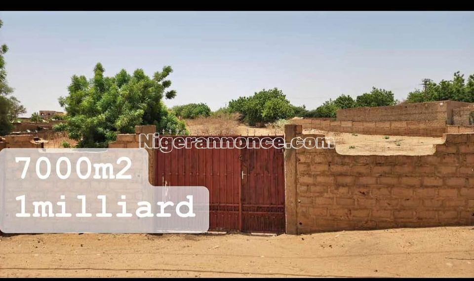 Parcelle 7000m2 | Niger annonce