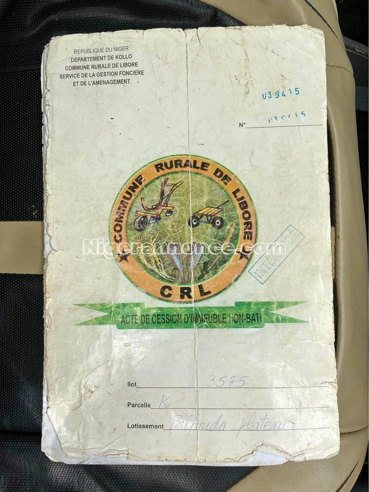 parcelle de 400 mètre carré au quartier Bilfouda Plateau | Niger annonce