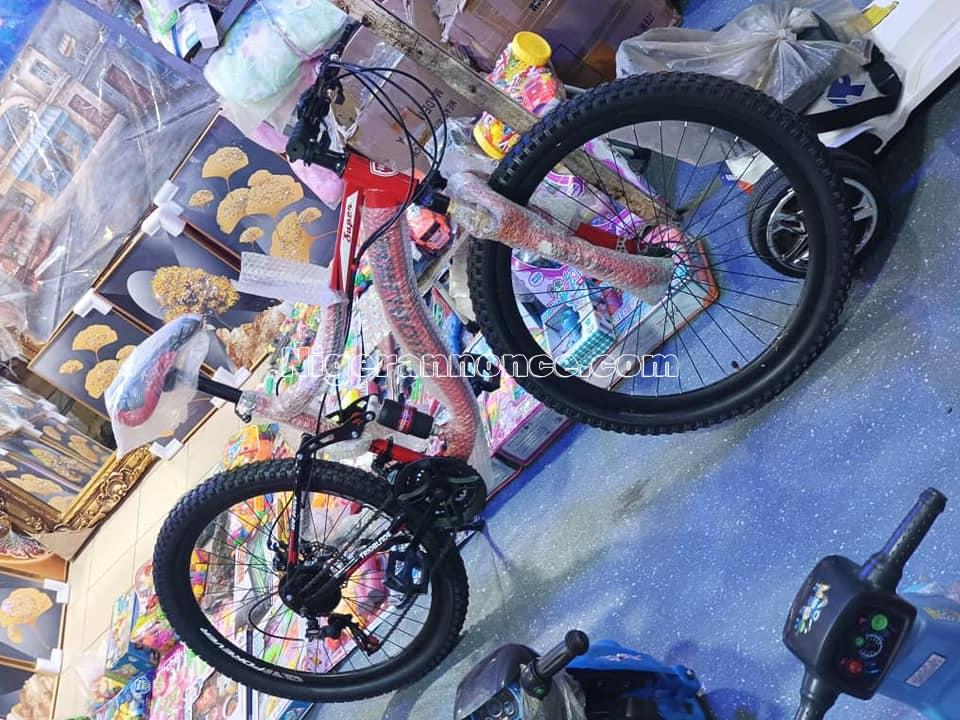 Vélo en vente a Niamey | Niger annonce