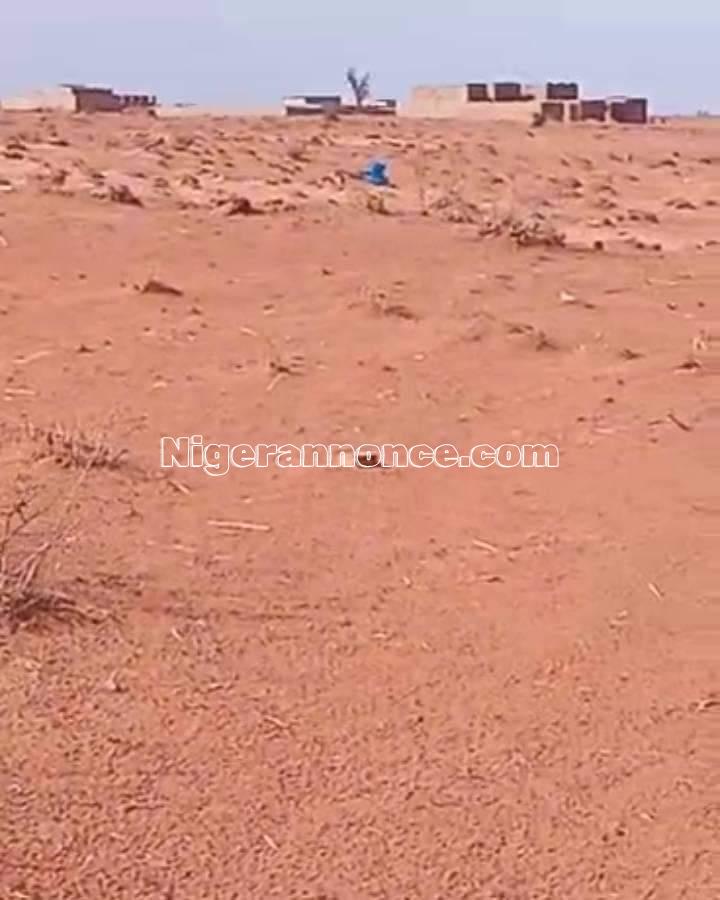 Terrain 200m2 a vendre | Niger annonce