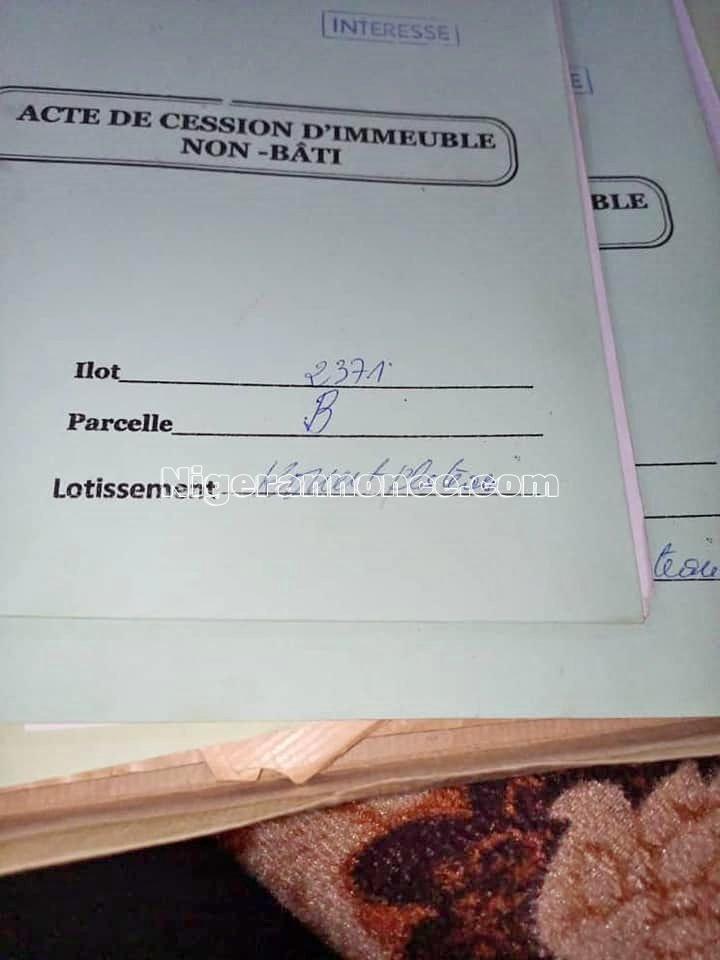 Parcelle de 500m2 | Niger annonce