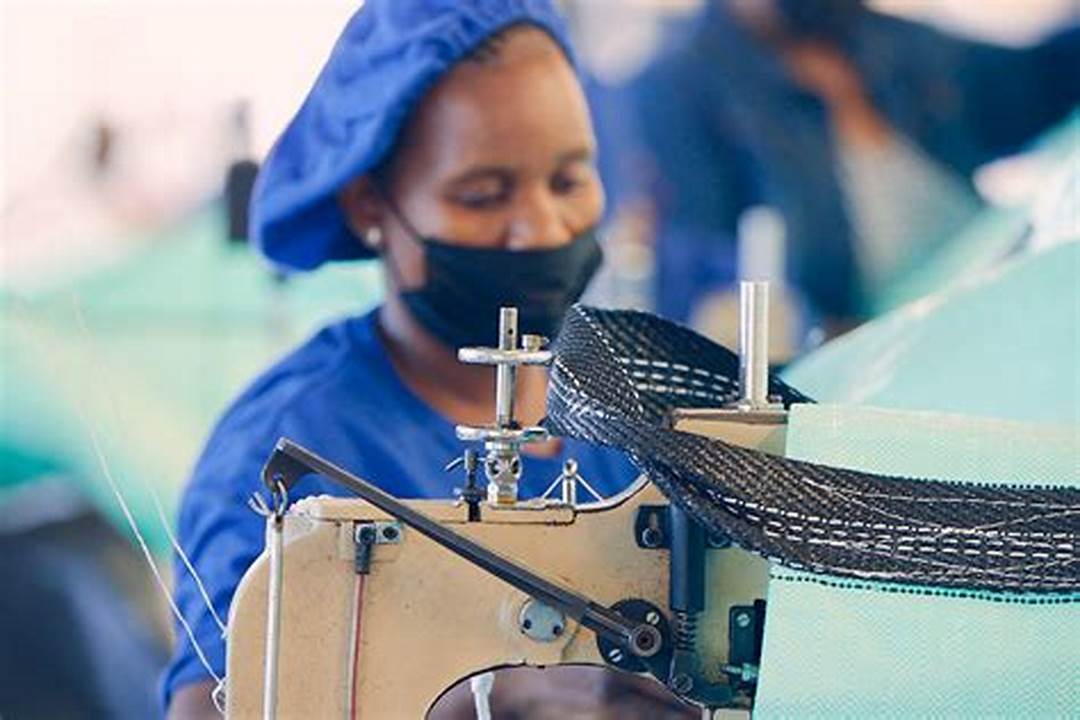 La Transformation des Annonces en Ligne au Niger : Un Outil de Souveraineté Économique | Niger annonce